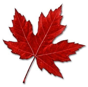 Canadian Cooking Adventures