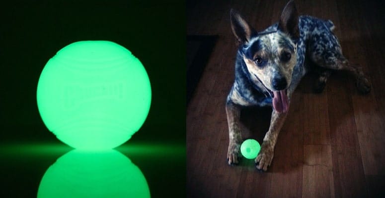 chuckit-max-glow-ball-dog-toy-xl The Top 5 Indestructible Dog Toys for 2017!!