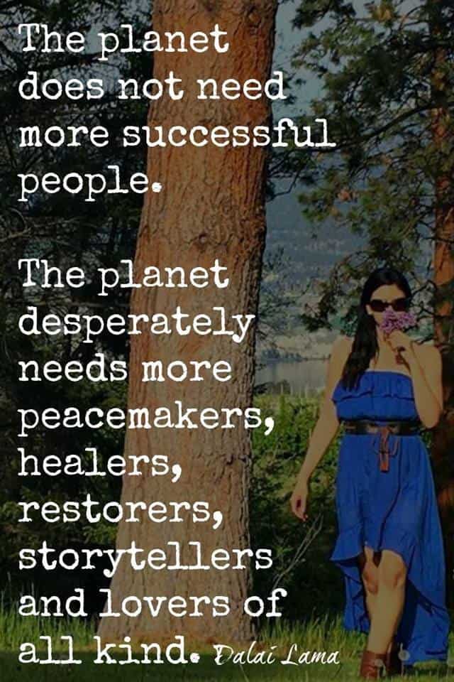 "The planet does not need more successful people. The planet desperately needs more peacemakers, healers, restorers, storyteller and lovers of all kinds" - Dalai Lama