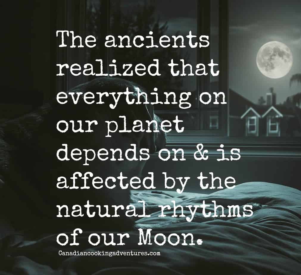 The ancients realized that everything on our planet depends on and is affected by the natural rhythms of our moon. ?? #newmoon #dreamcatcher #feminism #earthfocus #relax #cleanse #meditate #moonchild #divinefeminine #woman #goddess #moon #hope #wildwoman #moonlight #cancer #solar #solareclipse #fridaythe13th #lifequotes #lifelessons #quotestoliveby #newmoonmagic #moonmagic #quotesoftheday #lawofattraction #darkmoon #growth #selfcare #instaquote