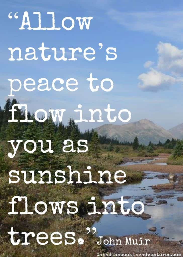 “Allow nature’s peace to flow into you as sunshine flows into trees.” John Muir