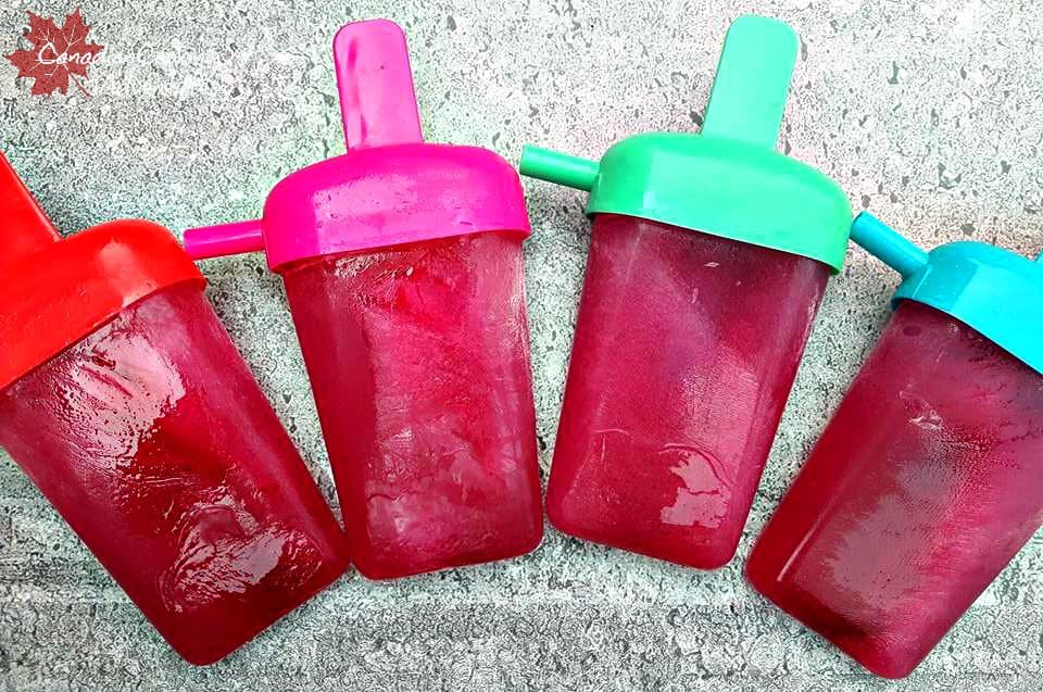 Healthy Hibiscus Popsicles