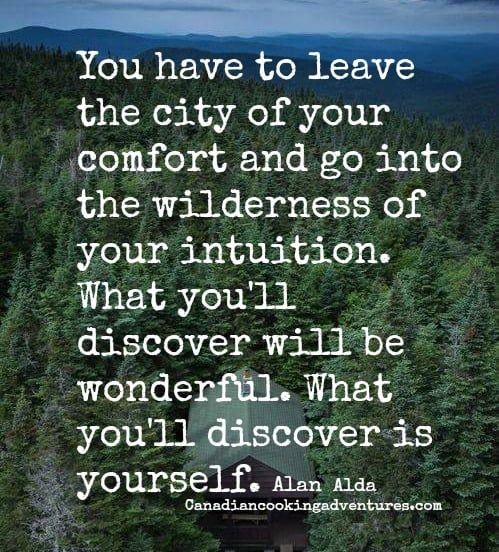 You have to leave the city of your comfort and go into the wilderness of your intuition. What you'll discover will be wonderful. What you'll discover is yourself. Alan Alda #QUOTE