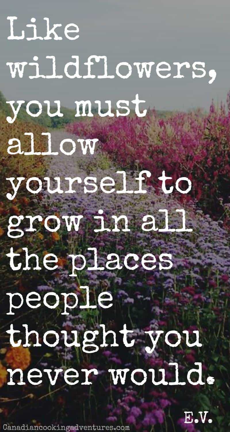 like wildflowers you must allow yourself to grow in all the places people 