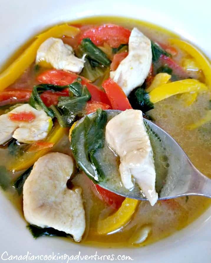 Green Thai Curry with Chicken, Peppers and Bok Choy