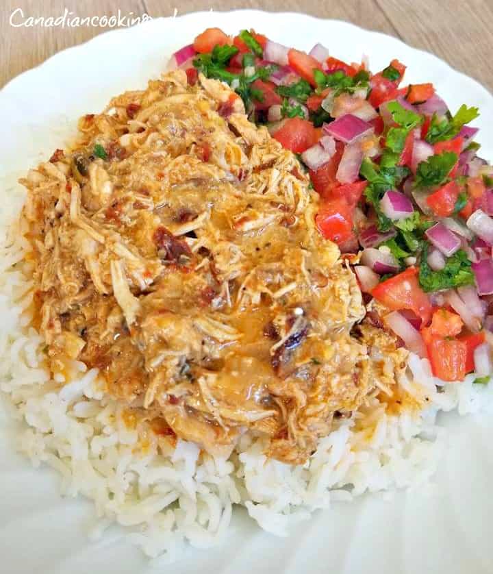 Mexican Pulled Pork over rice with salsa fresca