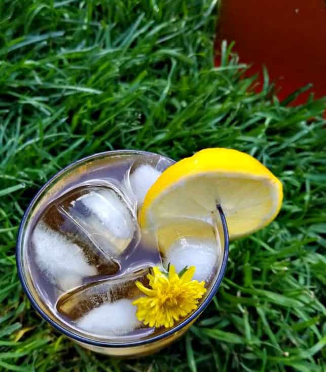 Dandelion Iced Tea