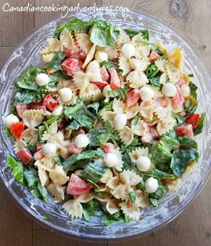 Pasta Salad with Mozzarella Balls