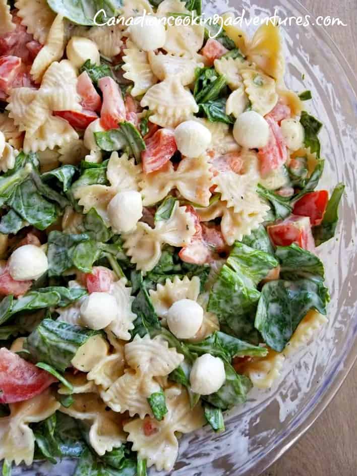 Pasta Salad with Mozzarella Balls