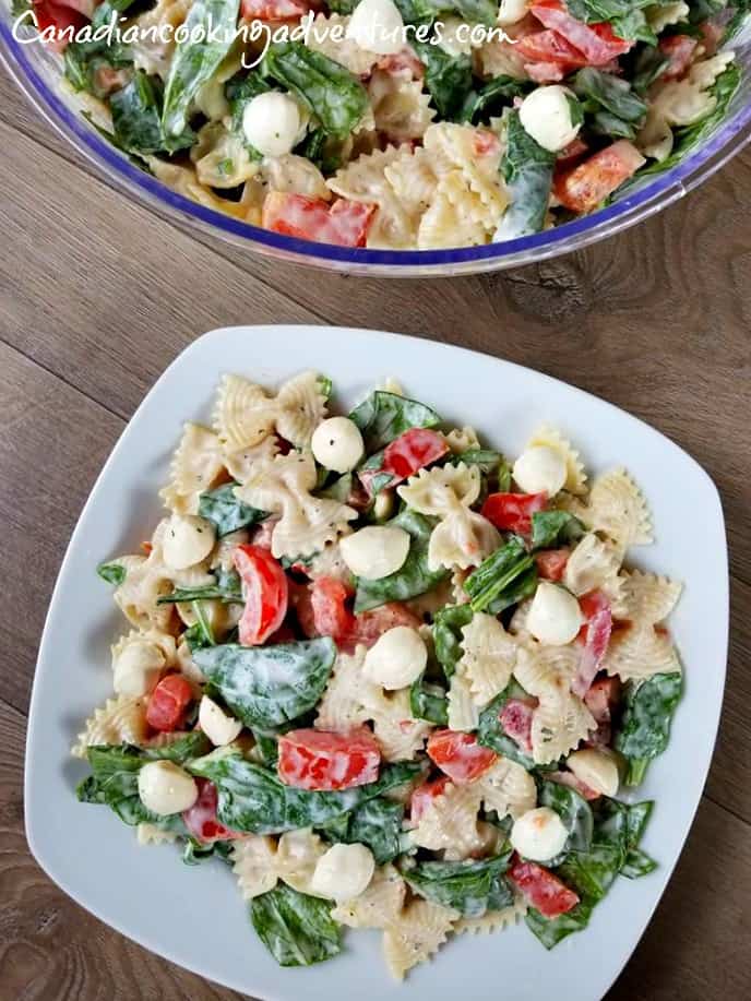 Pasta Salad with Mozzarella Balls