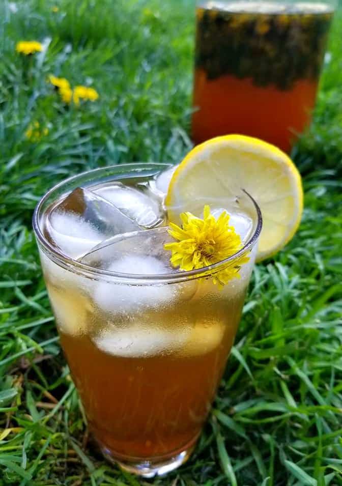 Dandelion Iced Tea