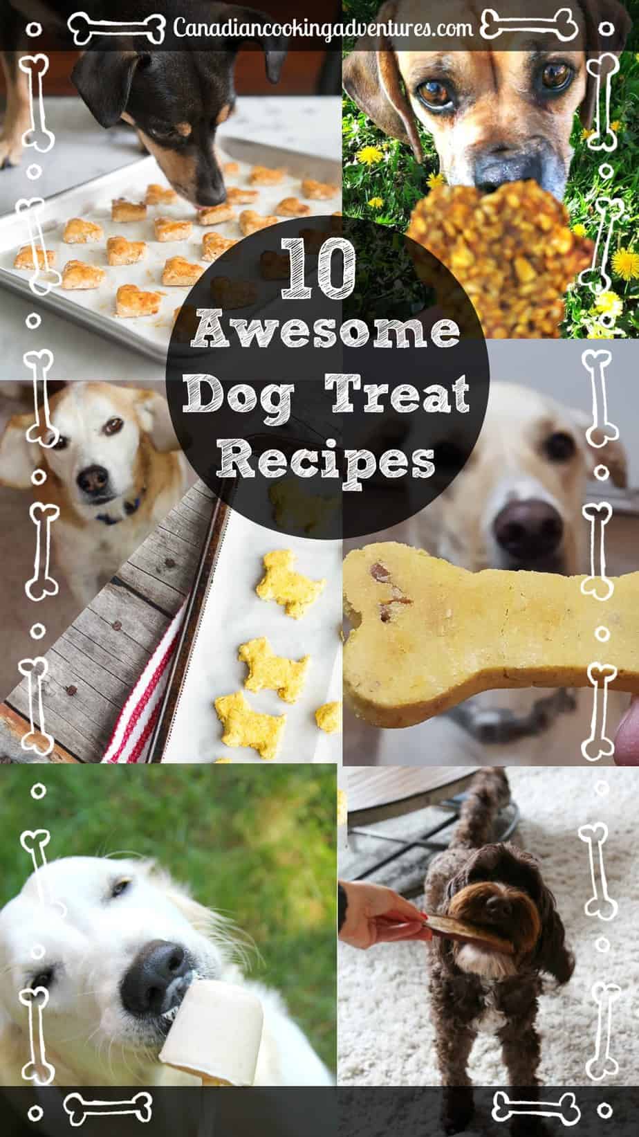 10 Awesome Dog Treat Recipes