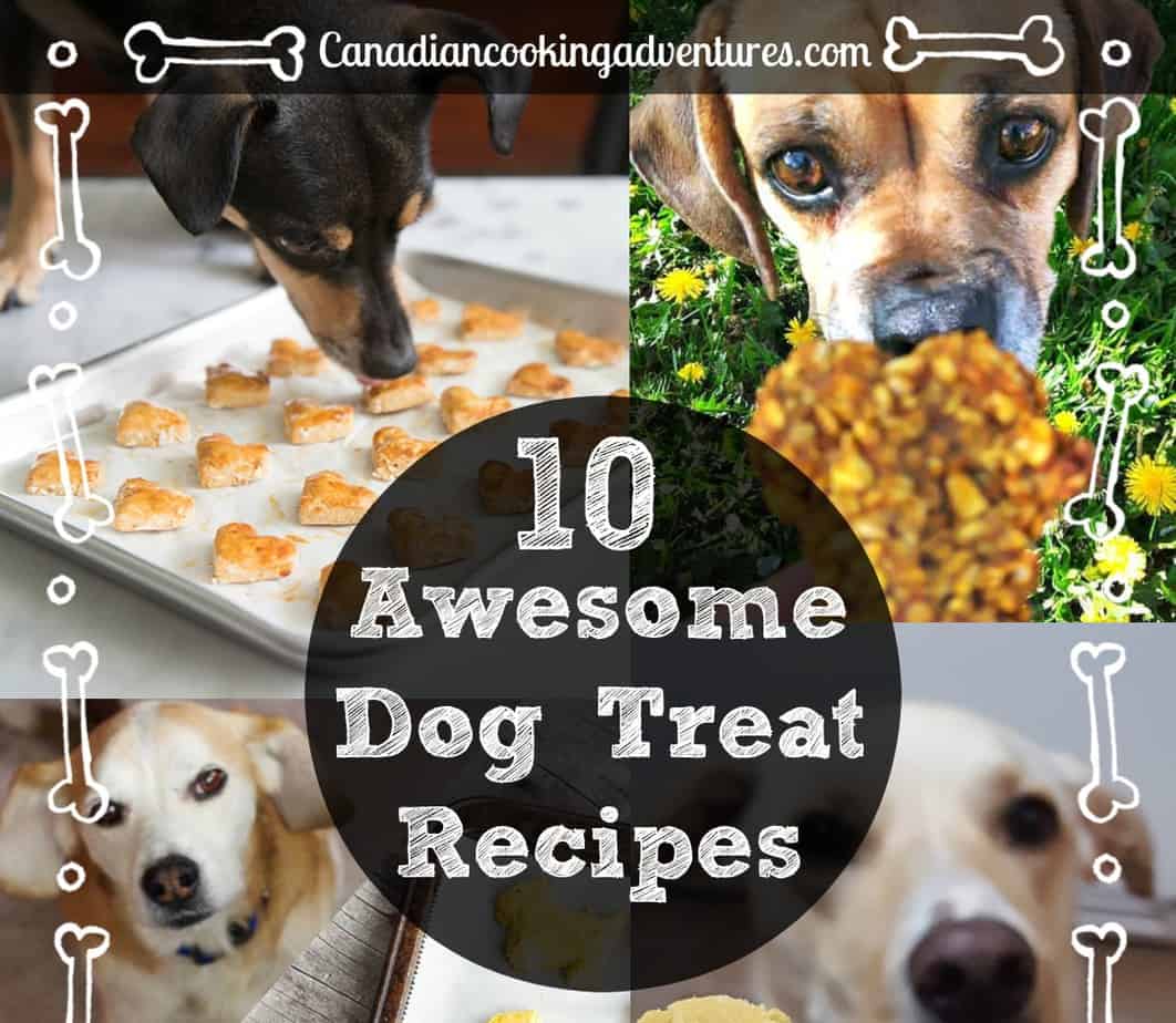 10 awesome dog treat recipes