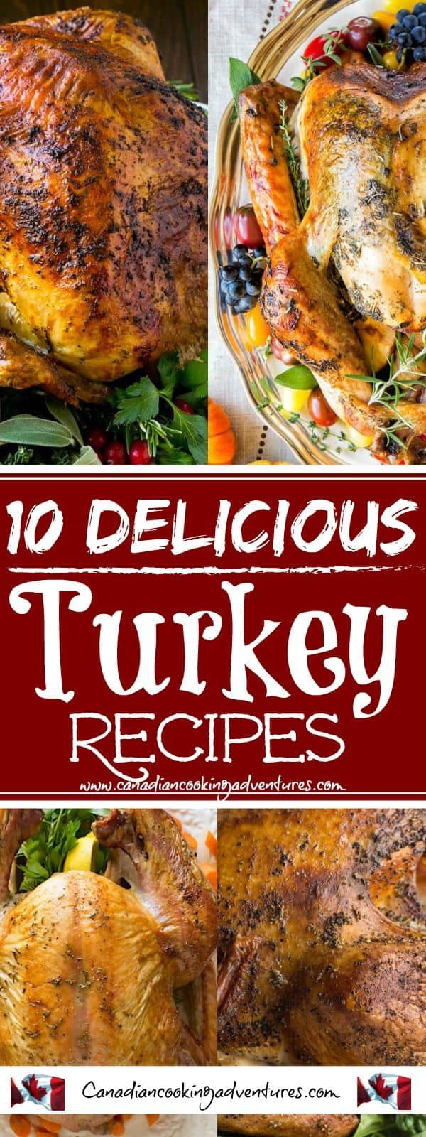 10 Delicious Turkey Recipes