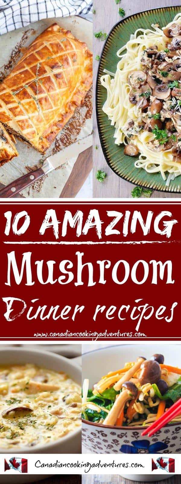 10 Amazing Mushroom Dinner Recipes 