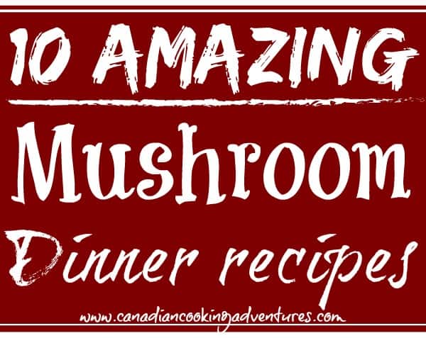 10 Amazing Mushroom Dinner Recipes 