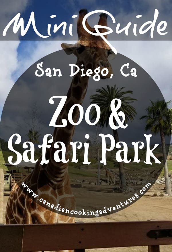 safari park san diego reviews