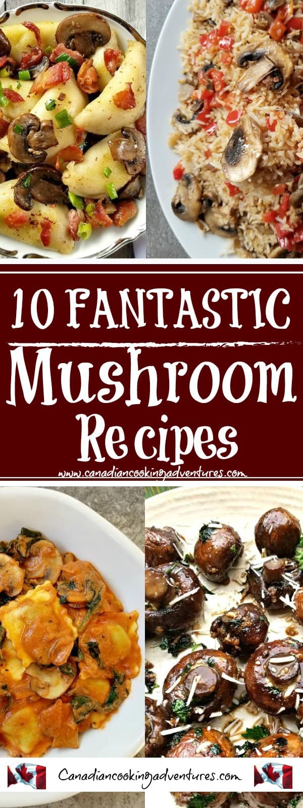 10 Fantastic Mushroom Recipes