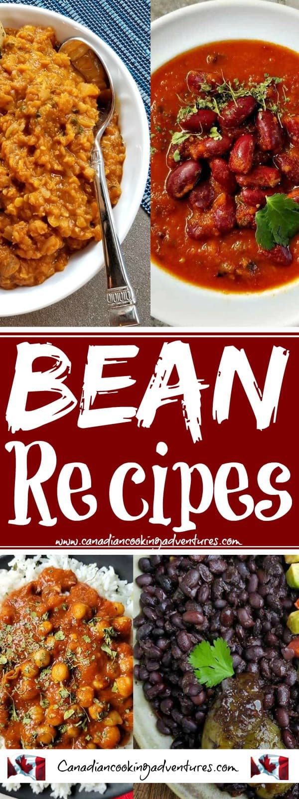 Bean recipes