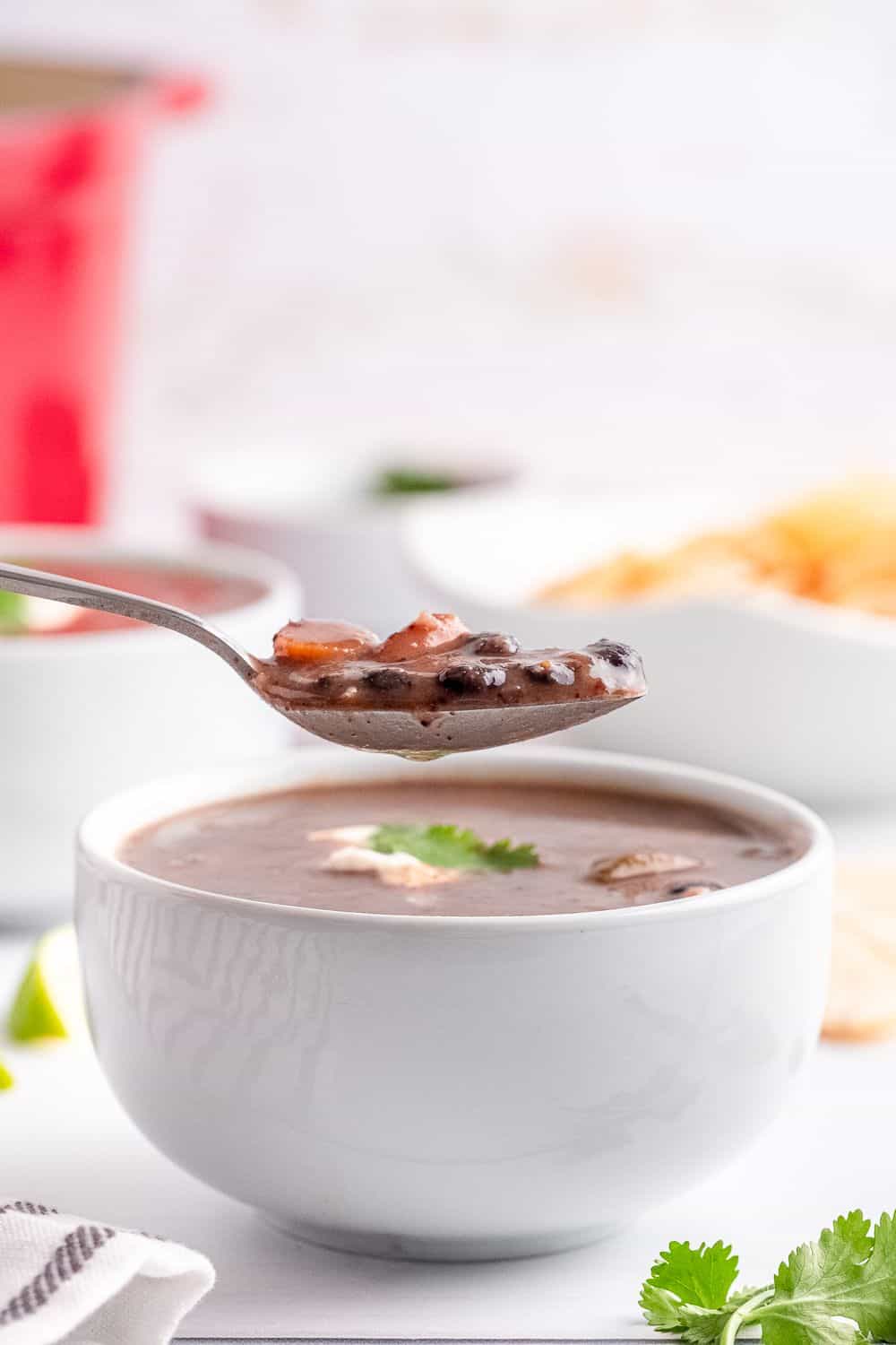 Vegetarian Black Bean Soup