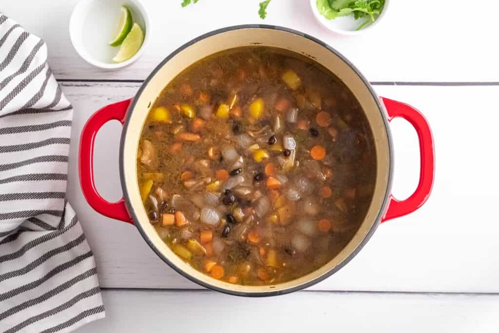 HOW TO MAKE BLACK BEAN SOUP