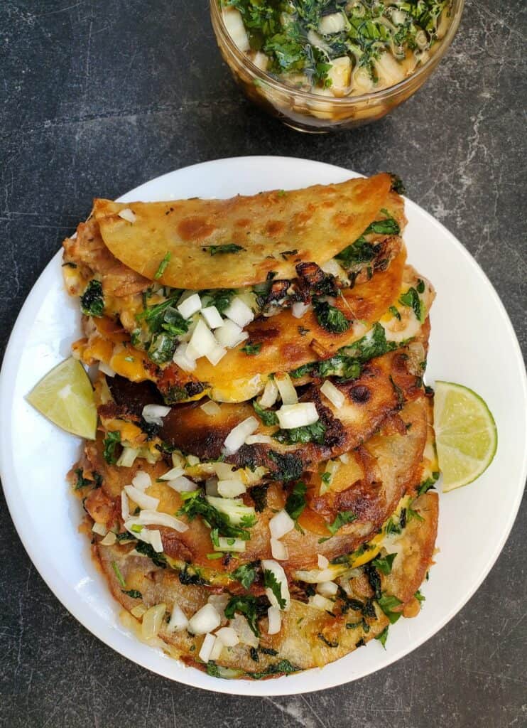 Vegetarian Birria tacos